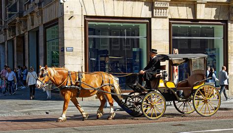 Buggy Ride Photograph by Rick Ulmer - Fine Art America