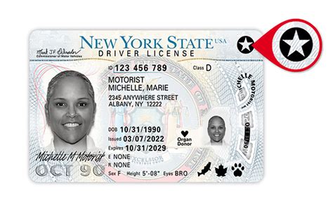 May 3, 2023: Is Your New York Driver’s License REAL ID Compliant? - Tri-City Driving Academy