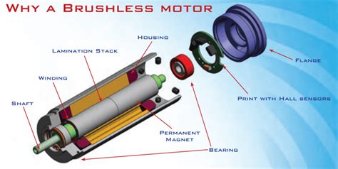 Brushless DC Motor Design | Portescap