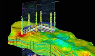 Petrophysics Software