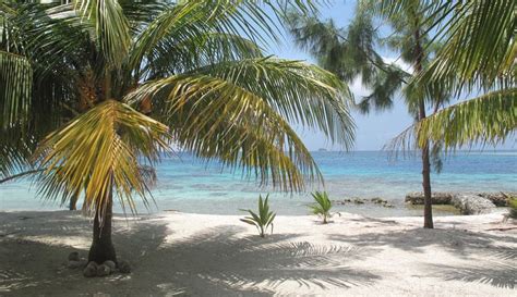 3 Best beaches in Utila island, Honduras - Ultimate guide (January 2025)