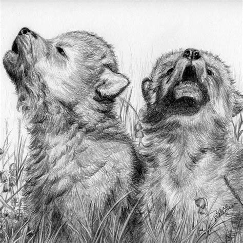 howling wolf pups Archives - Sabine Baeckmann Art