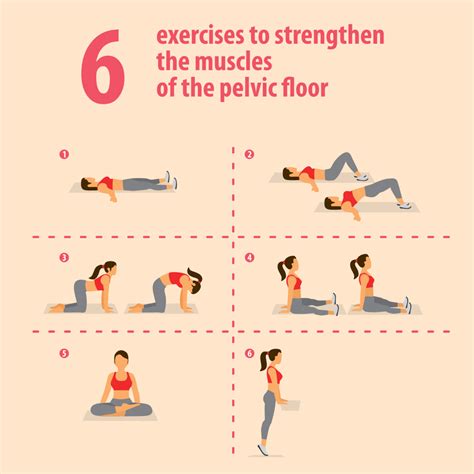 6 pelvic floor exercises for pelvic wellness - Best Maternity Back Hernia Hip Support Belt ...