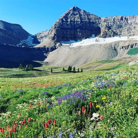 I recently hiked to the summit of Mount Timpanogos, Utah, USA. This is the high meadow just ...