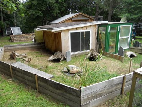 new tort shed and pen for sulcata | Sulcata tortoise, Outdoor tortoise enclosure, Tortoise habitat