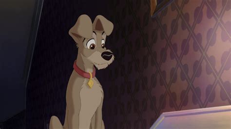 Lady And The Tramp II: Scamp's Adventure Wallpapers - Wallpaper Cave