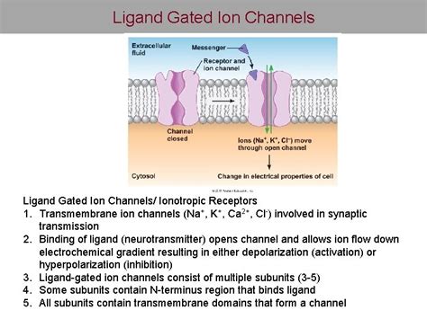 Ligand Gated Ion Channels Ionotropic Receptors 1 Transmembrane