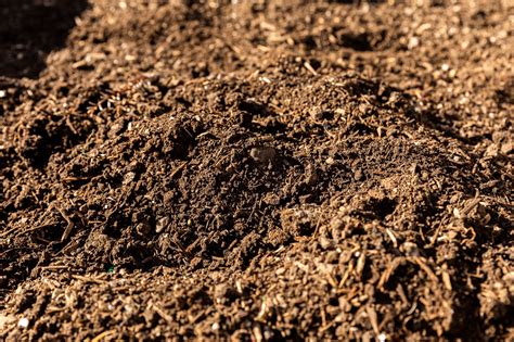 Use These Methods to Increase Soil Acidity in 2021 | Soil, How to dry ...