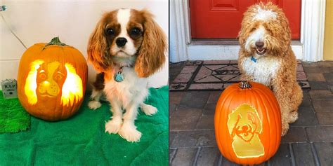 Easy Dog Pumpkin Carving