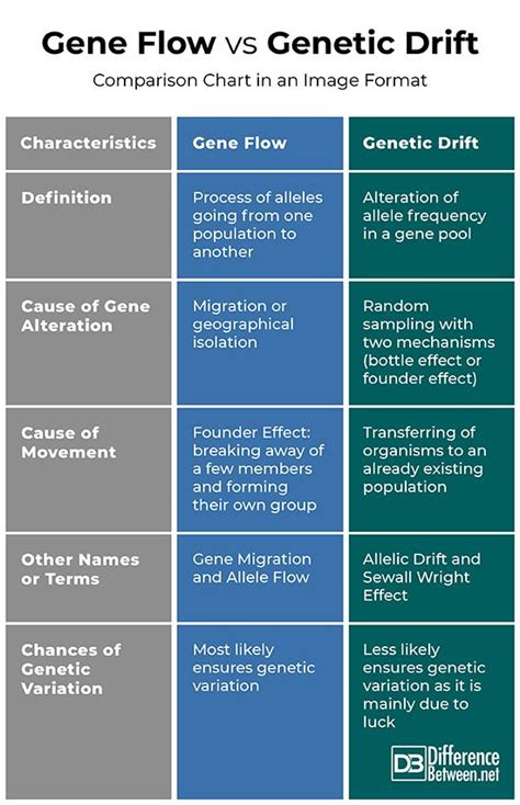 The Difference Between Gene Flow and Genetic Drift | Genetic drift ...