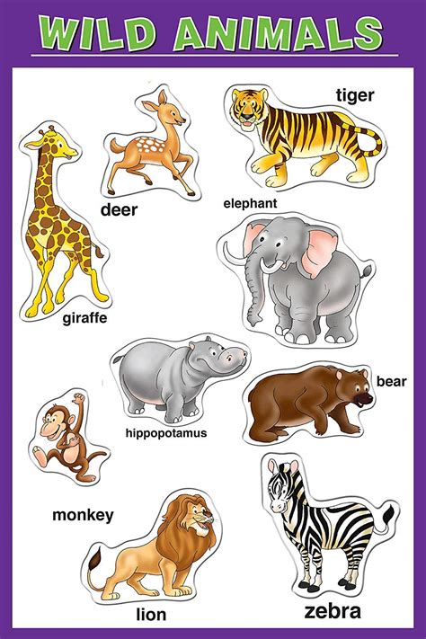 100Yellow® Matte Finish Wild Animal Name Kids Learning Poster (Paper, Multicolour, 12X18-Inch ...