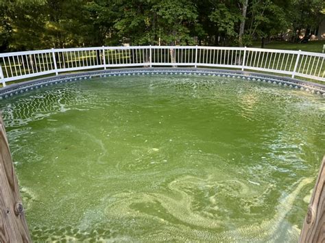 How to Clean a Green Pool