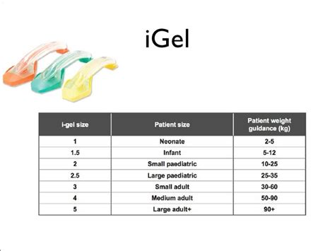 Igel Airway Size Chart