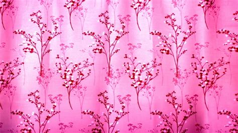 Pink Curtains Background Free Stock Photo - Public Domain Pictures