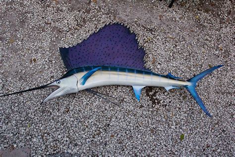 Sailfish 74L inch Full Mount fiberglass Fish Mount - The Fish Mount Store