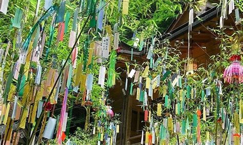 Tanabata Matsuri 2024: The Star Festival