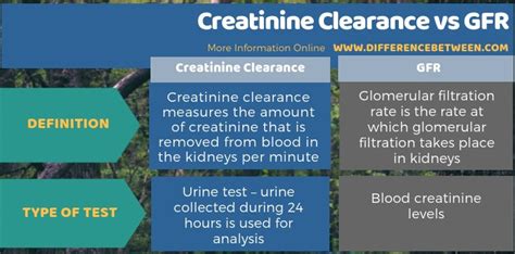 Difference Between Creatinine Clearance and GFR | Compare the ...