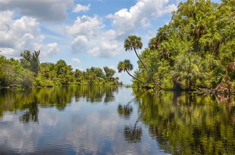 Approaching Lake George | Florida Paddle Notes