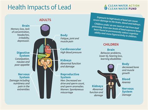 Very informative image about the effects of lead poisoning, expect a new blog post covering this ...