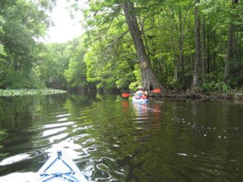 Ocklawaha River, FL Paddling, Kayak, Canoe. E-Z Map, 25+ Photos.