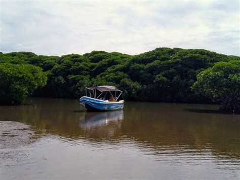 Negombo Lagoon - Aktuelle 2020 - Lohnt es sich? (Mit fotos)