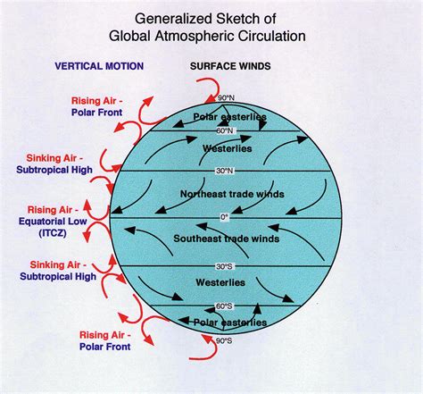 Boundaries between circulation cells: air moves vertically & surface winds weak, erratic; also ...