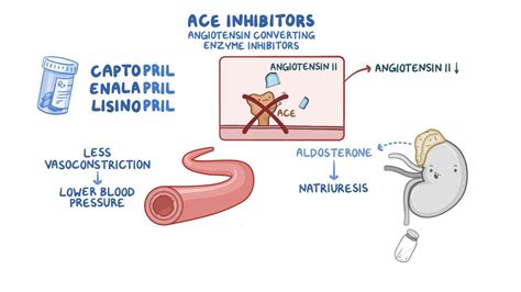 ACE inhibitors, ARBs and direct renin inhibitors | Osmosis