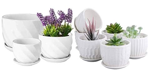 10 Best Ceramic Pots for Plants Indoor and Outdoor Gardening - Gardener Aid