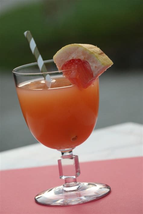 Greyhound Cocktail Recipe - MomTrends