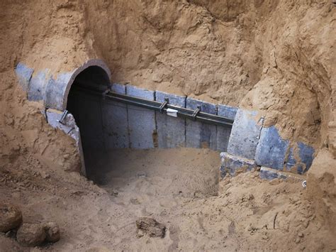 Israelis Use Dogs And Robots To Destroy Hamas Tunnels - Business Insider