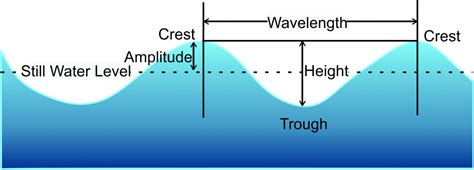 Section 4: Ocean Waves & Tides | Nitty Gritty Science