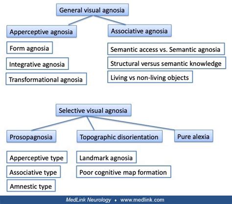 Visual agnosias | MedLink Neurology