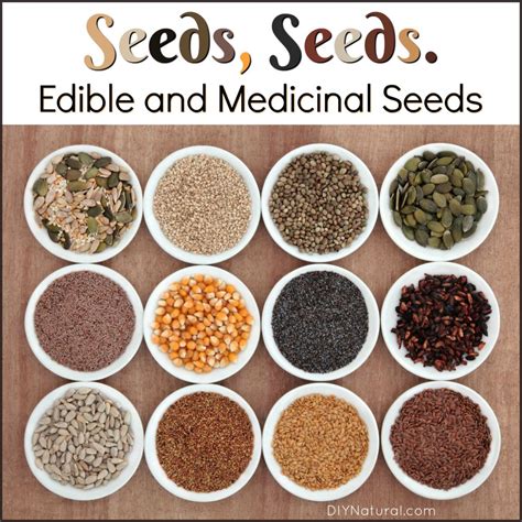 Seeds. Edible Seeds. Medicinal Seeds. 10 Seeds You Can and Should Eat