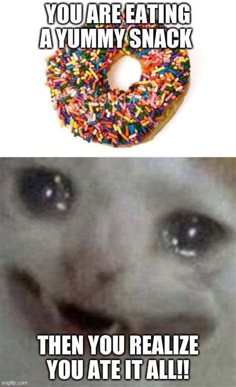 Image tagged in donut,crying cat - Imgflip