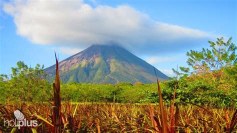 Book online Ometepe Island Homestay. ISLA DE OMETEPE (Ometepe island ...