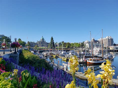 14 Of The Best Things To Do In Victoria BC - Forever Lost In Travel