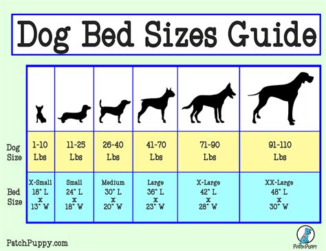 What Size Dog Bed Do I Need