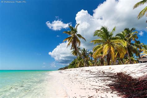 Saona Island | Saona island, Beach, Island