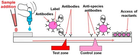 lateral flow assays principles designs and labels - Specially E-Journal Image Database