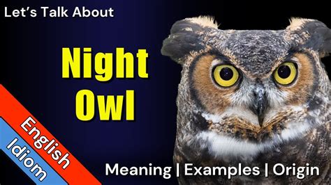 Night owl meaning and origin - matterslily