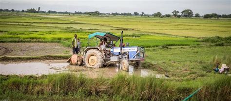 Phone to Food: Mapping Rice in Nepal | Agrilinks