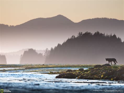 🔥 [40+] Pacific Northwest Desktop Wallpapers | WallpaperSafari