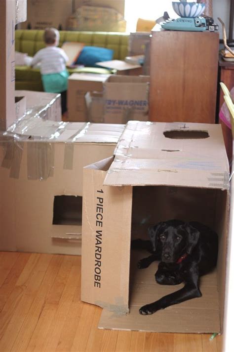 cardboard fun - Google Search | Cardboard forts, Cardboard box fort, Kids forts