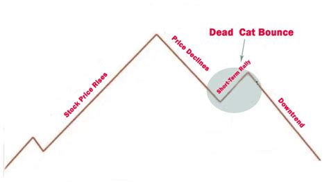 dead cat bounce | Learn To Trade Forex • Best Forex Trading Course • AsiaForexMentor