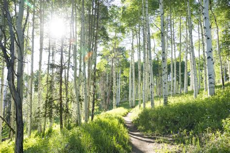 Iconic Colorado hikes to trek before you die - OutwardOn.com