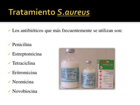 Staphylococcus spp