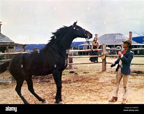 THE MAN FROM SNOWY RIVER Stock Photo - Alamy