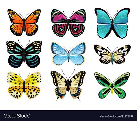 Butterflies types collection Royalty Free Vector Image