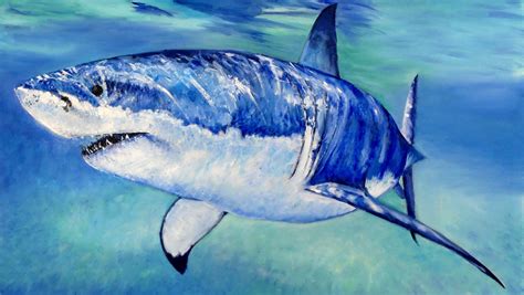 Shark paintings