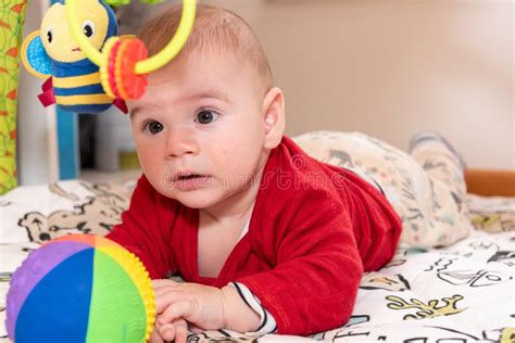 Adorable 6 Months Old Little Baby Boy during Tummy Time Surrounded by Colourful Toys Stock Photo ...